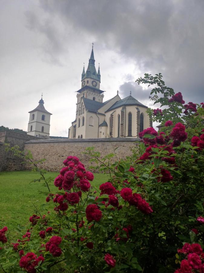 Krizkov Dom Apartment Kremnica Ngoại thất bức ảnh